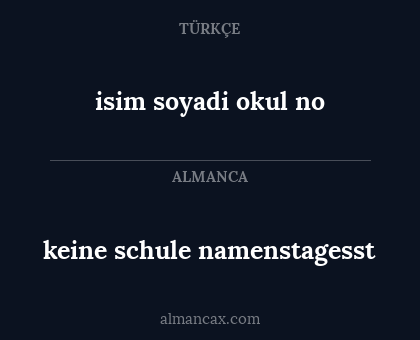 isim
soyadi 
okul
no - keine schule namenstagesst