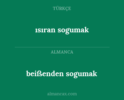 ısıran sogumak - beißenden sogumak