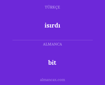 bit - isırdı