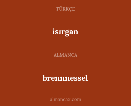 isırgan - brennnessel