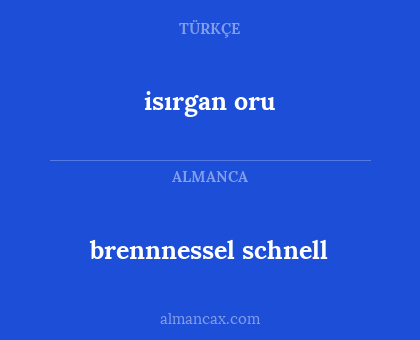 brennnessel schnell - isırgan oru