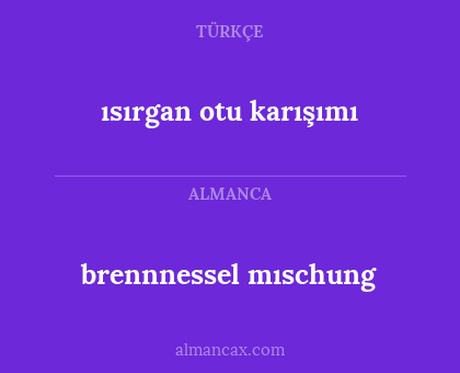 brennnessel mıschung - ısırgan otu karışımı