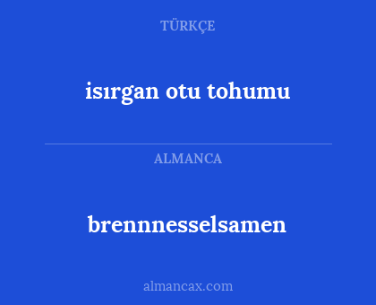 isırgan otu tohumu - brennnesselsamen
