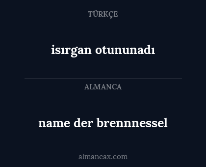 isırgan otununadı - name der brennnessel