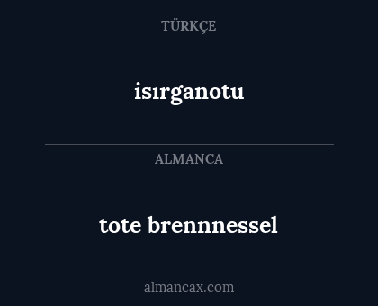 isırganotu - tote brennnessel