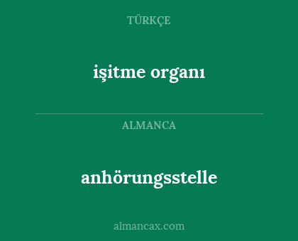 işitme organı - anhörungsstelle