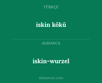 iskin-wurzel - iskin kökü