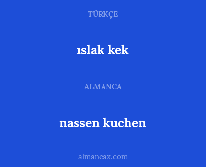 nassen kuchen - ıslak kek