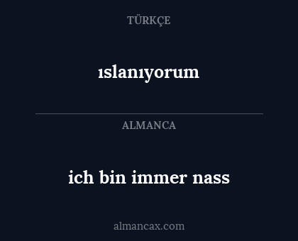 ich bin immer nass - ıslanıyorum