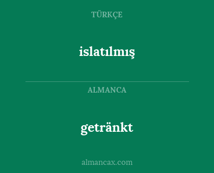 getränkt - islatılmış