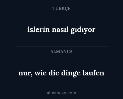 islerin nasıl gıdıyor - nur, wie die dinge laufen