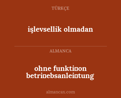 ohne funkti̇on betri̇ebsanlei̇tung - işlevsellik olmadan