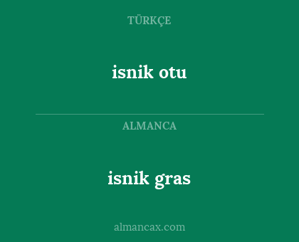 isnik gras - isnik otu