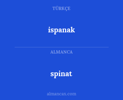 ispanak - spinat