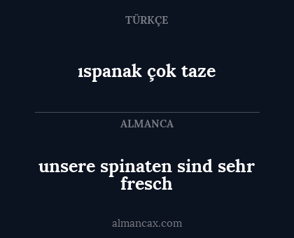 ıspanak çok taze - unsere spinaten sind sehr fresch