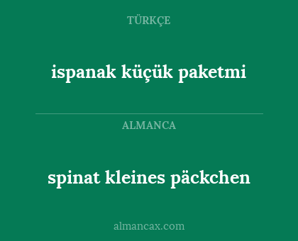 ispanak küçük paketmi - spinat kleines päckchen