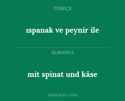 mit spinat und käse - ıspanak ve peynir ile