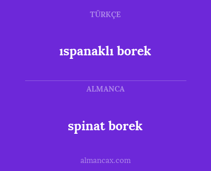 spinat borek - ıspanaklı borek