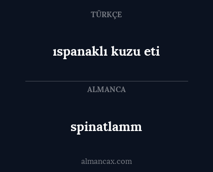 spinatlamm - ıspanaklı kuzu eti