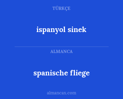 ispanyol sinek - spanische fliege