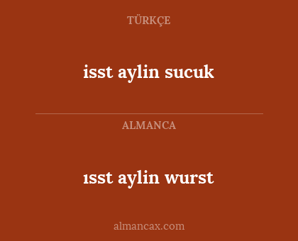 isst aylin sucuk - ısst aylin wurst