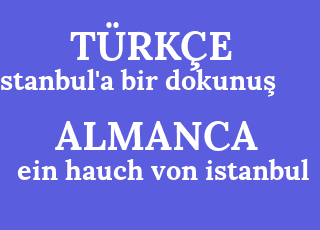 istanbul%26%2339%3Ba+bir+dokunu%C5%9F-ein+hauch+von+istanbul.png