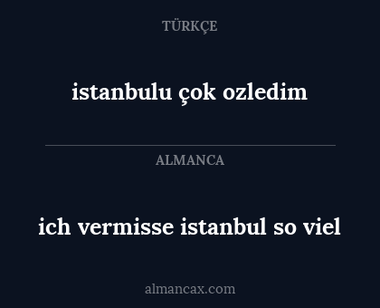 ich vermisse istanbul so viel - istanbulu çok ozledim