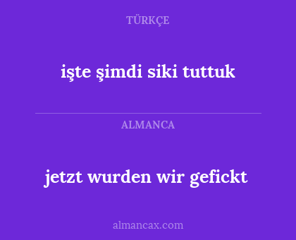 işte şimdi siki tuttuk - jetzt wurden wir gefickt