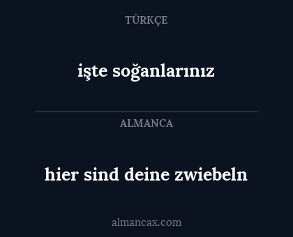 işte soğanlarınız - hier sind deine zwiebeln