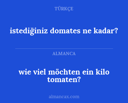 wie viel möchten ein kilo tomaten? - istediğiniz domates ne kadar?