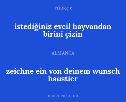 zeichne ein von deinem wunsch haustier - istediğiniz evcil hayvandan birini çizin