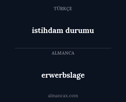 erwerbslage - istihdam durumu