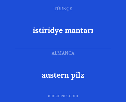 austern pilz - istiridye mantarı