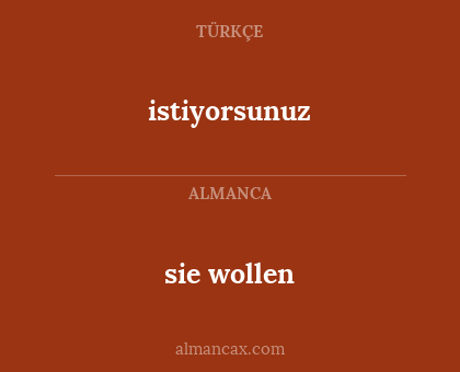 sie wollen - istiyorsunuz