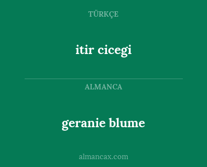 geranie blume - itir cicegi