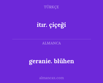 itır. çiçeği - geranie. blühen