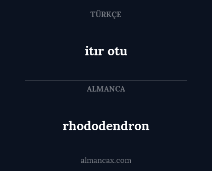 itır otu - rhododendron