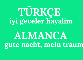iyi+geceler+hayalim-gute+nacht%2C+mein+traum.png