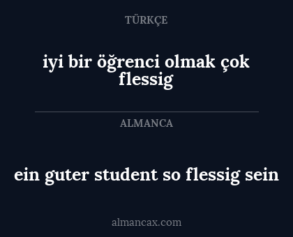 iyi bir öğrenci olmak çok flessig - ein guter student so flessig sein