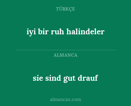 iyi bir ruh halindeler - sie sind gut drauf