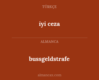 bussgeldstrafe - iyi ceza