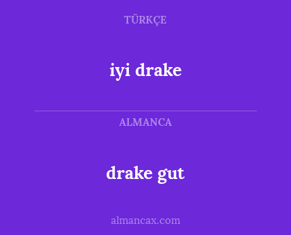 drake gut - iyi drake
