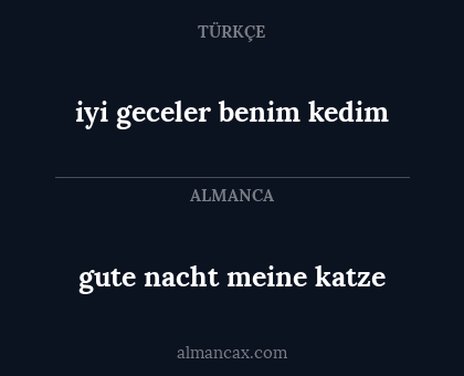 iyi geceler benim kedim - gute nacht meine katze