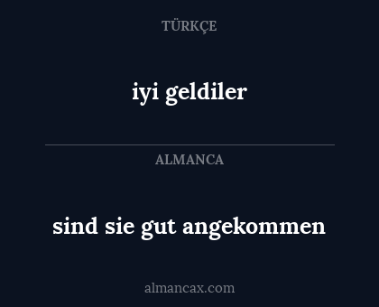 sind sie gut angekommen - iyi geldiler