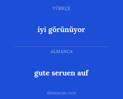 iyi görünüyor - gute seruen auf