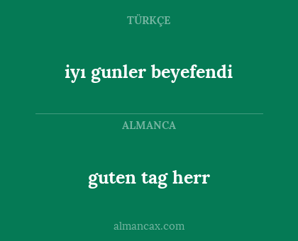 guten tag herr - iyı gunler beyefendi