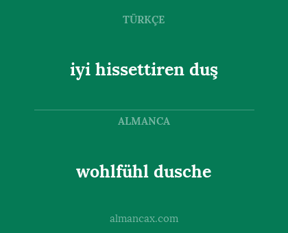 iyi hissettiren duş - wohlfühl dusche