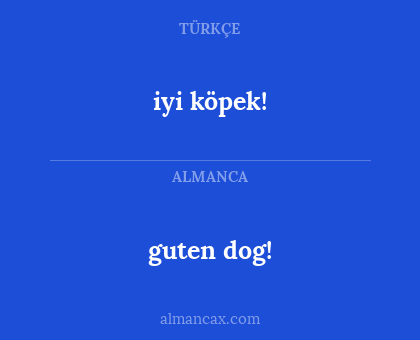 guten dog! - iyi köpek!