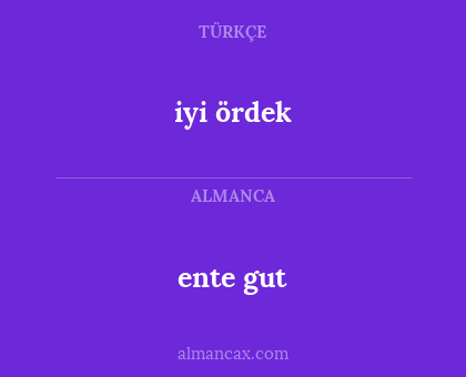 iyi ördek - ente gut
