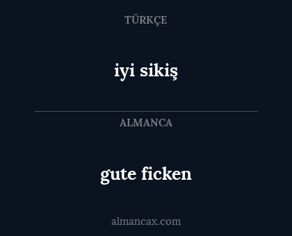 iyi sikiş - gute ficken